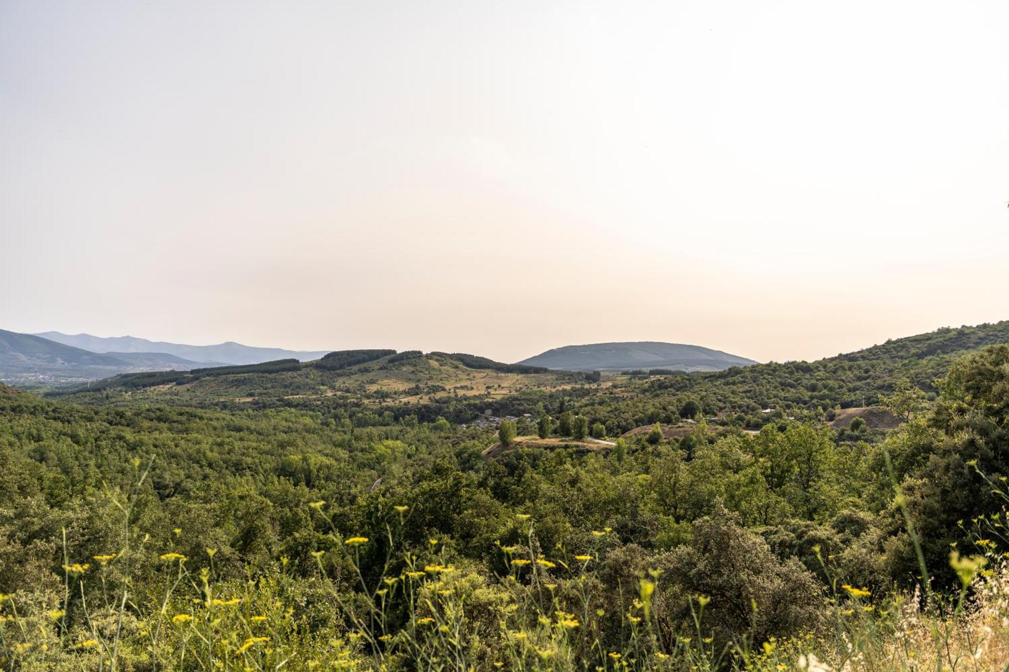 Casa De Turismo Rural Sardom2 Bembibre  Bagian luar foto